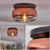 Boza ceiling light, globe light clear, coppery, 1-light source