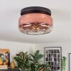 Boza ceiling light, globe light clear, coppery, 1-light source