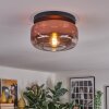 Boza ceiling light, globe light clear, coppery, 1-light source