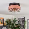 Boza ceiling light, globe light clear, coppery, 1-light source