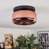 Boza ceiling light, globe light coppery, 1-light source