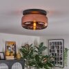 Boza ceiling light, globe light coppery, 1-light source