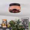 Boza ceiling light, globe light coppery, 1-light source