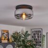 Boza ceiling light, globe light chrome, clear, 1-light source