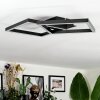 Binor ceiling light LED black, 1-light source