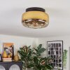 Boza ceiling light, globe light gold, clear, 1-light source