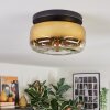 Boza ceiling light, globe light gold, clear, 1-light source