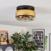 Boza ceiling light, globe light gold, clear, 1-light source