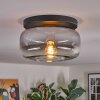 Boza ceiling light, globe light clear, Smoke-coloured, 1-light source