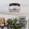 Boza ceiling light, globe light clear, Smoke-coloured, 1-light source