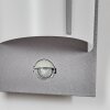 Lamarche outdoor wall light, wall light LED grey, 2-light sources, Motion sensor