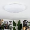 Arzel ceiling light LED white, 1-light source, Remote control