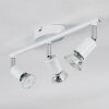 Gjedso ceiling light, ceiling spotlight LED chrome, white, 3-light sources