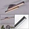 Arlan ceiling light LED black, 2-light sources