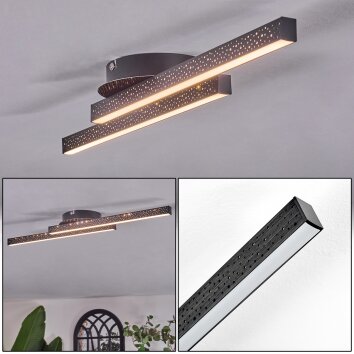 Arlan ceiling light LED black, 2-light sources