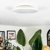 Borel ceiling light LED white, 1-light source