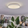 Borel ceiling light LED white, 1-light source