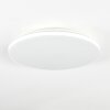 Borel ceiling light LED white, 1-light source