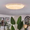 Arzel ceiling light LED white, 1-light source, Remote control