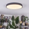 Filor ceiling light LED black, 1-light source