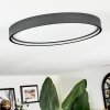 Filor ceiling light LED black, 1-light source