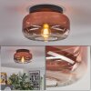 Boza ceiling light, globe light clear, coppery, 1-light source