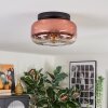 Boza ceiling light, globe light clear, coppery, 1-light source