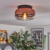 Boza ceiling light, globe light clear, coppery, 1-light source