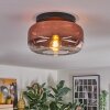 Boza ceiling light, globe light clear, coppery, 1-light source