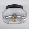 Boza ceiling light, globe light clear, Smoke-coloured, 1-light source