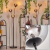 Gastor globe light, floor lamp chrome, clear, Smoke-coloured, 3-light sources