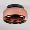 Boza ceiling light, globe light coppery, 1-light source