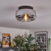 Boza ceiling light, globe light chrome, clear, Smoke-coloured, 1-light source