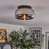 Boza ceiling light, globe light chrome, Smoke-coloured, 1-light source