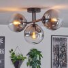 Gastor ceiling light, globe light clear, Smoke-coloured, 3-light sources