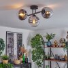 Gastor ceiling light, globe light chrome, clear, Smoke-coloured, 3-light sources