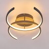 GUINEA Ceiling Light LED anthracite, 2-light sources