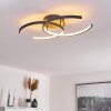 GUINEA Ceiling Light LED anthracite, 2-light sources