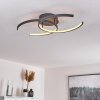 GUINEA Ceiling Light LED anthracite, 2-light sources