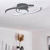 GUINEA Ceiling Light LED anthracite, 2-light sources