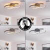 GUINEA Ceiling Light LED anthracite, 2-light sources