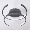 GUINEA Ceiling Light LED anthracite, 2-light sources