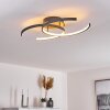 GUINEA Ceiling Light LED anthracite, 2-light sources