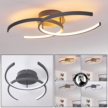 GUINEA Ceiling Light LED anthracite, 2-light sources