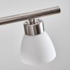 Ordan hanging light, pendant light LED matt nickel, 4-light sources