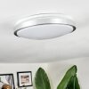 Sapioris ceiling light LED matt nickel, white, 1-light source