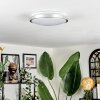 Sapioris ceiling light LED matt nickel, white, 1-light source