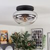 Mertola ceiling light, globe light clear, Smoke-coloured, 1-light source