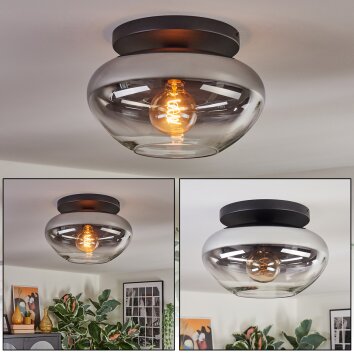 Mertola ceiling light, globe light clear, Smoke-coloured, 1-light source