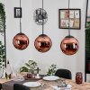 Gastor hanging light, globe light, pendant light coppery, 3-light sources